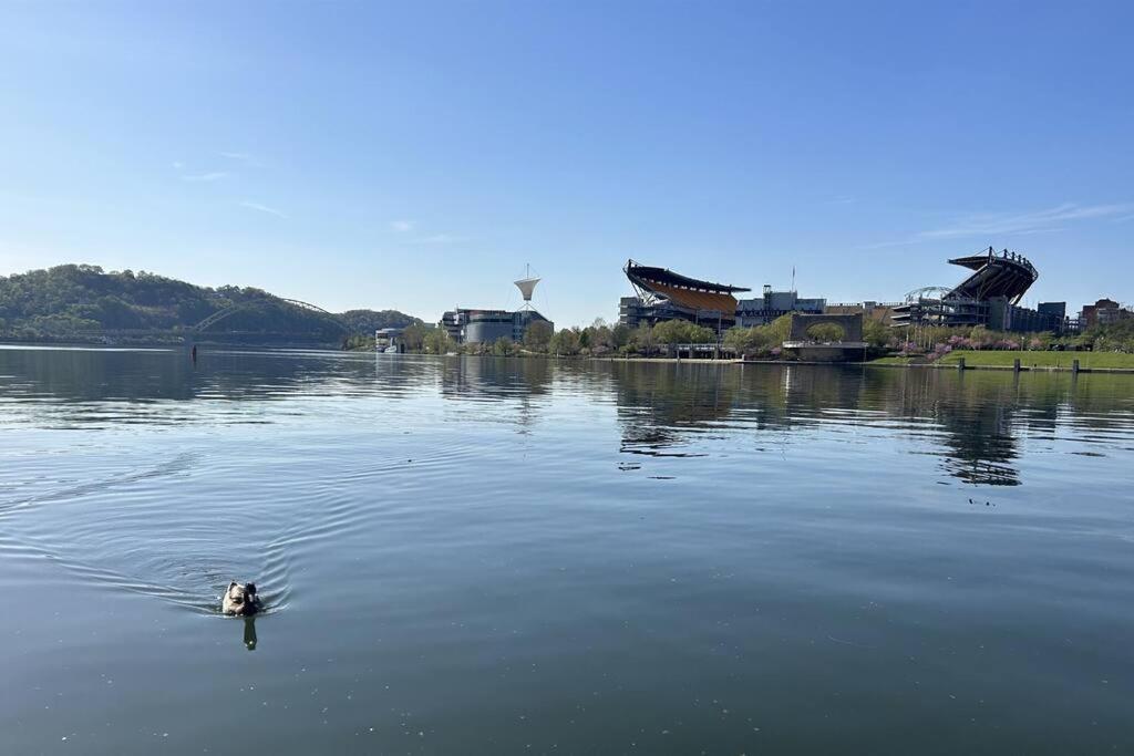 Sprawling Stadium Views Wonderful Location 24-7 Parking Gym Lounge พิตต์สเบิร์ก ภายนอก รูปภาพ